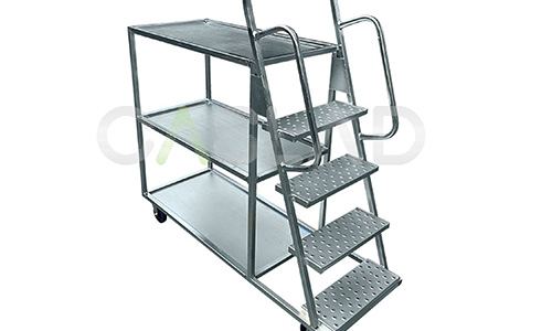 Step Trolley