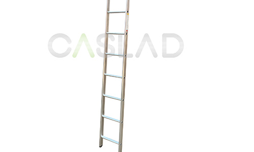 Industrial Single Ladder